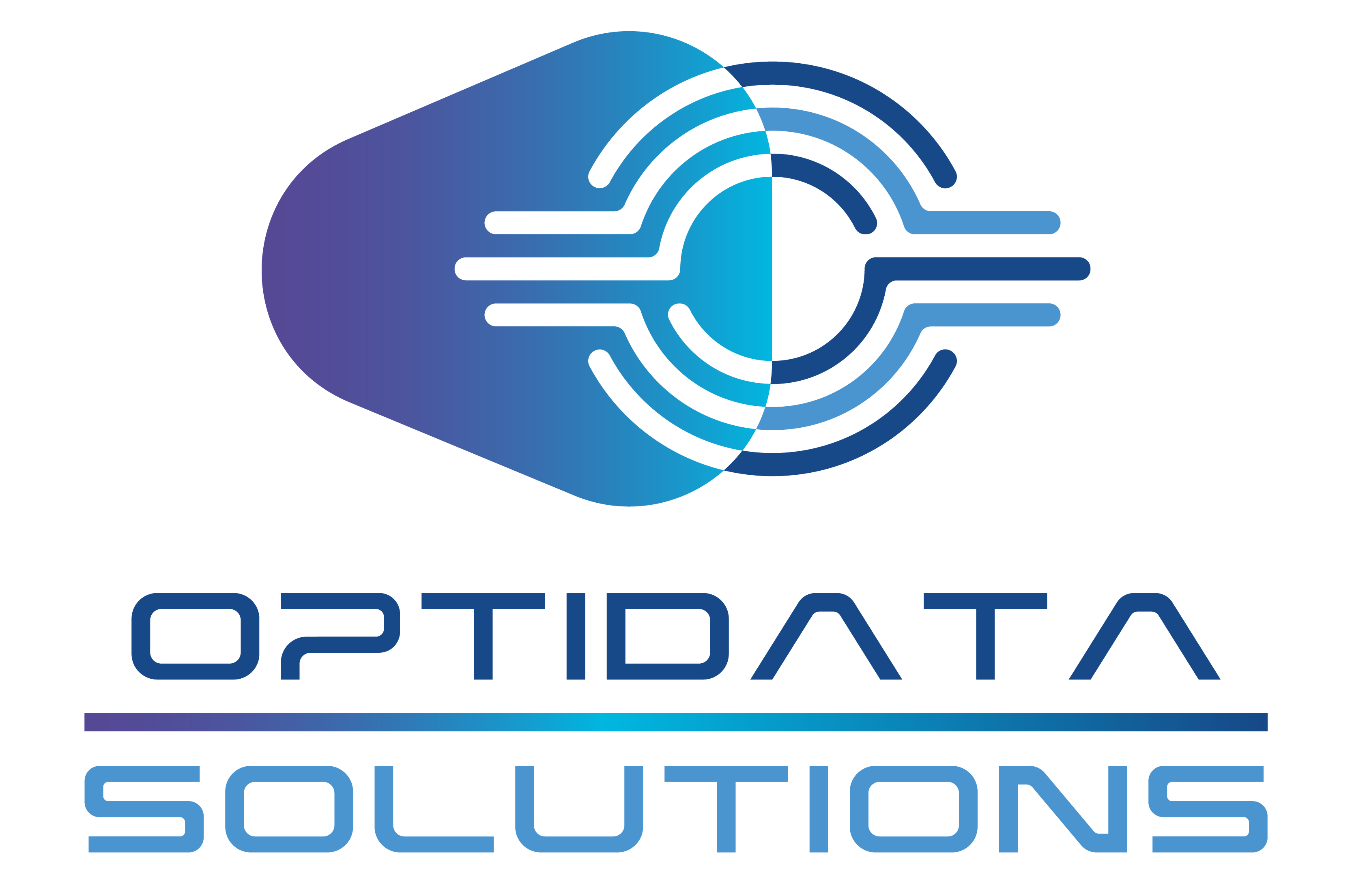 OptiData Solutions